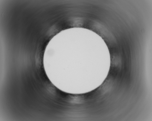 X0000086920370200705141727