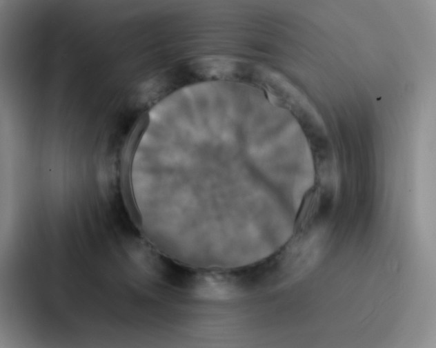 X0000086920372200705141727
