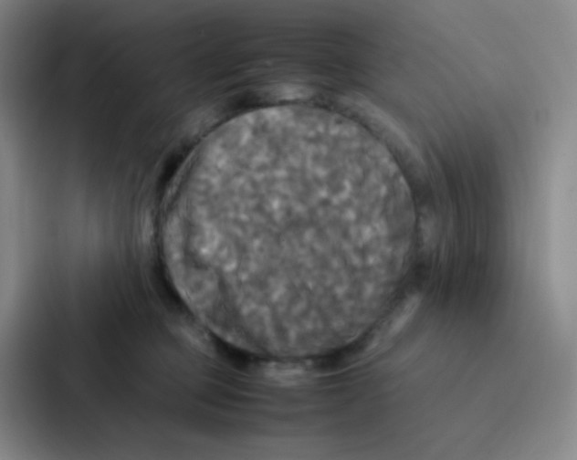X0000086920373200705141727