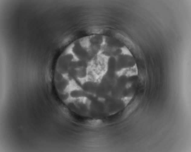 X0000086920374200705141727