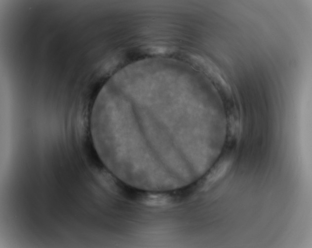 X0000086920376200705141727