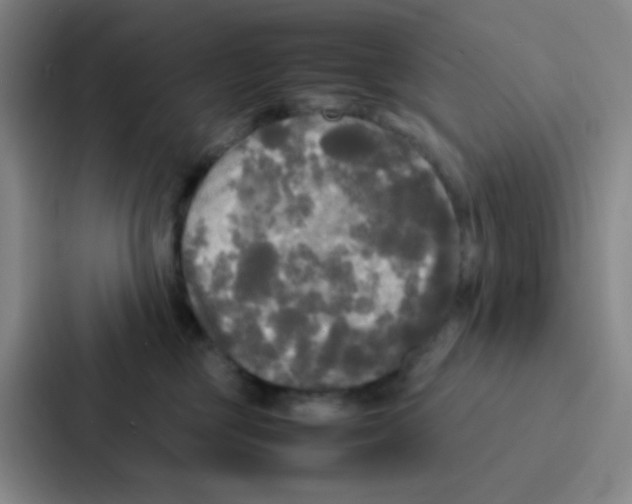 X0000086920377200705141727