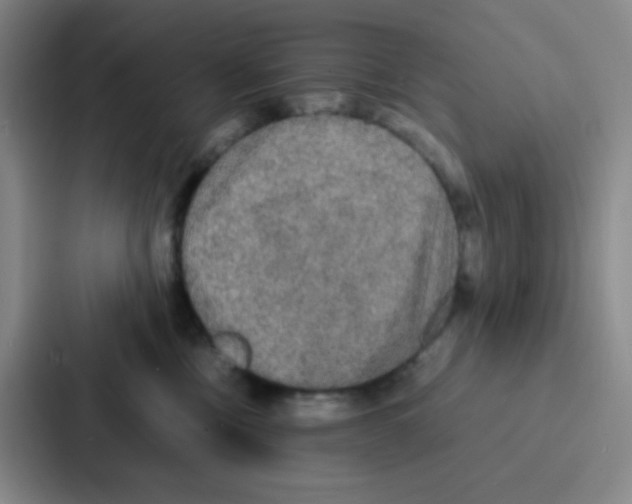 X0000086920378200705141727