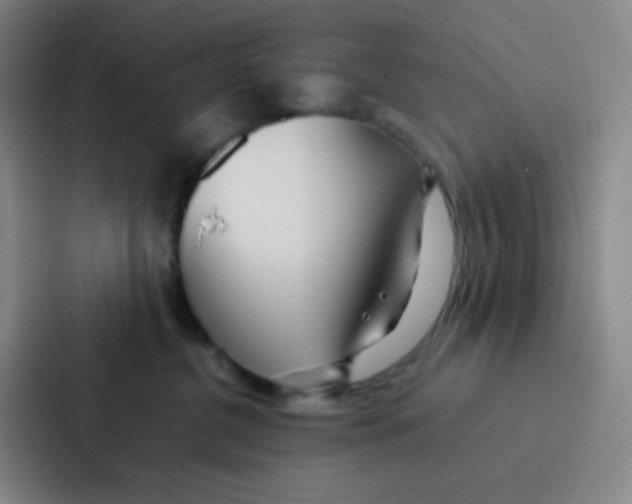 X0000086920380200705141727