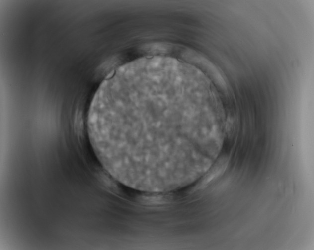 X0000086920381200705141727