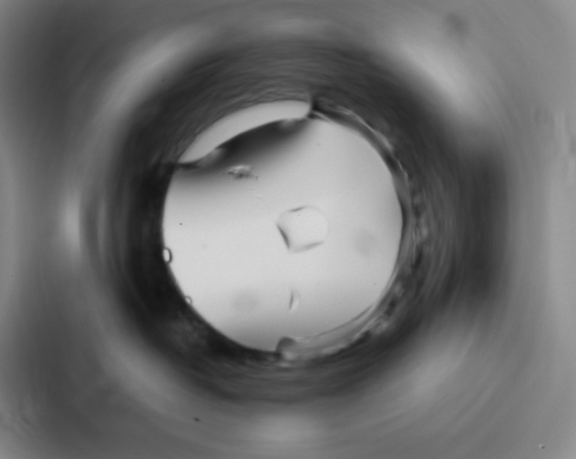 X0000086920382200705141727