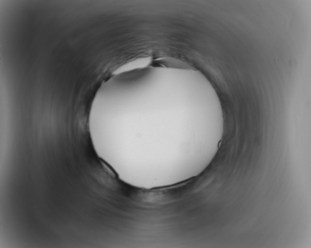 X0000086920384200705141727