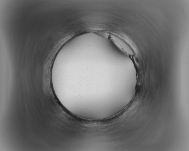 X0000086920385200705141727