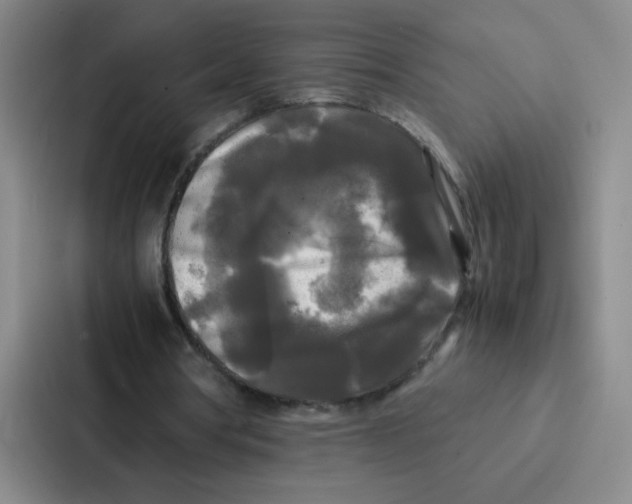 X0000086920386200705141726