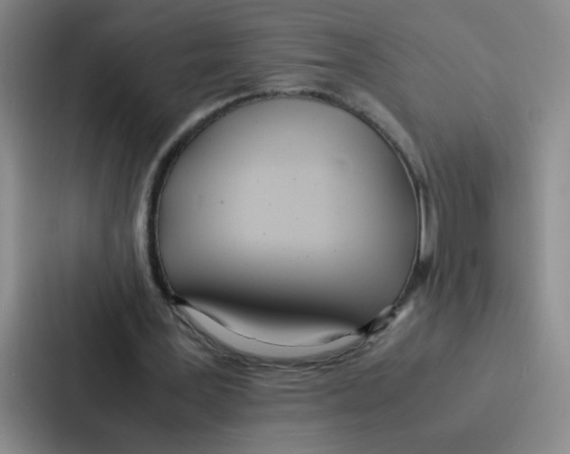 X0000086920387200705141726