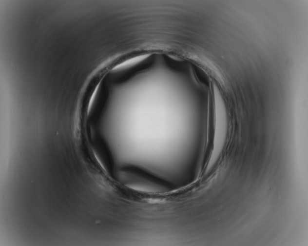 X0000086920388200705141726