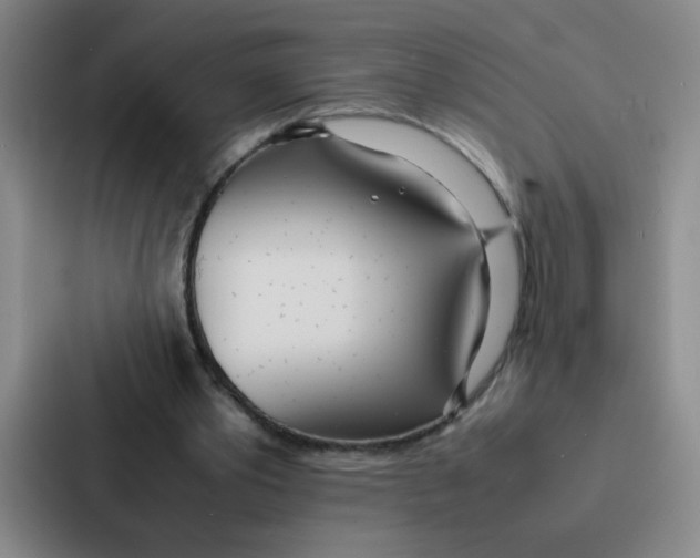 X0000086920389200705141726