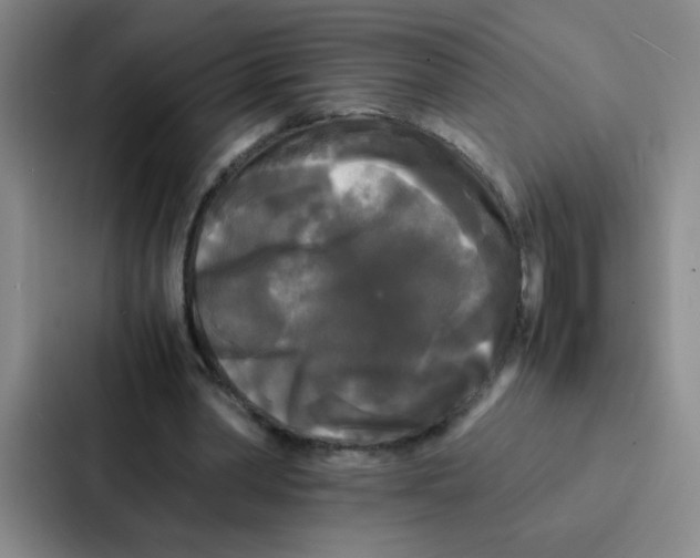 X0000086920390200705141726