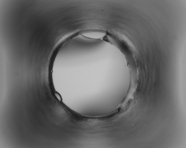 X0000086920391200705141726