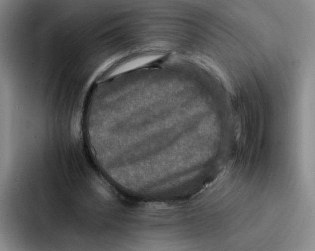 X0000086920392200705141726