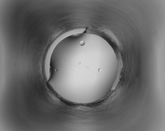 X0000086920393200705141726