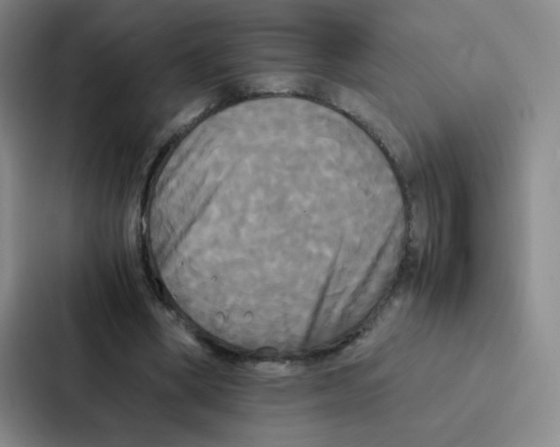 X0000086920394200705141726