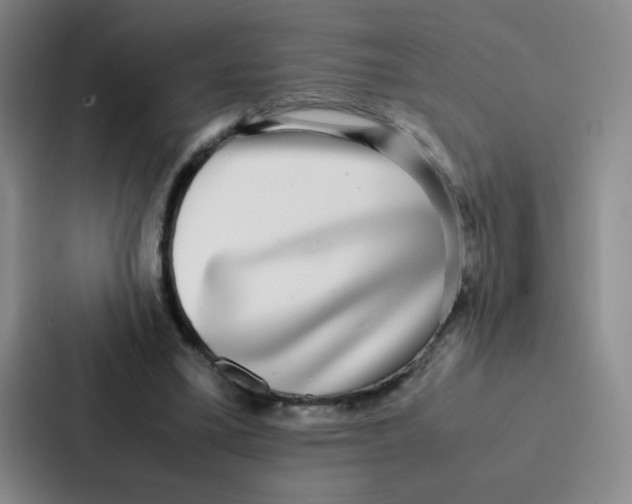 X0000086920395200705141726