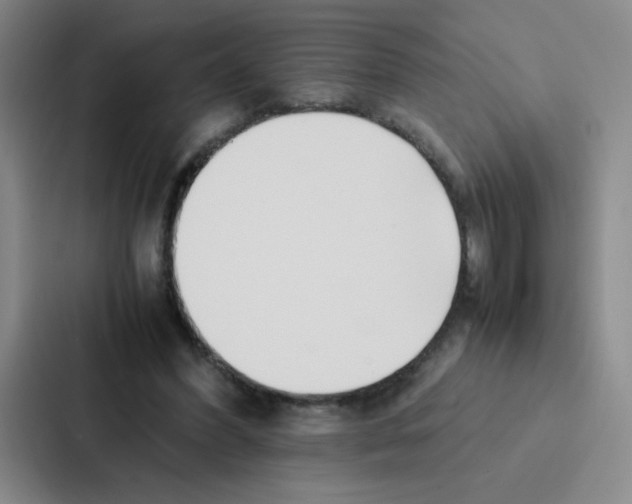 X0000086920396200705141726