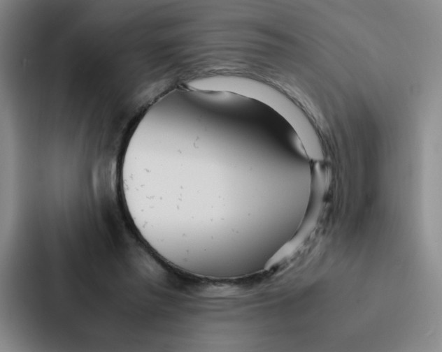 X0000086920397200705141726
