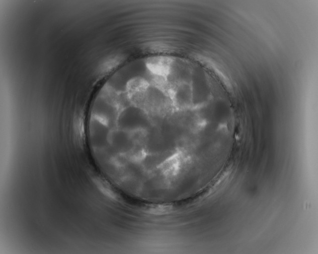 X0000086920398200705141726