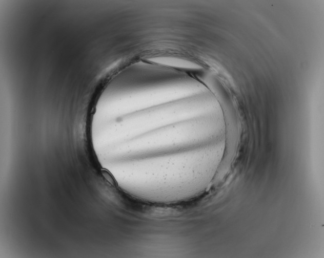 X0000086920399200705141726