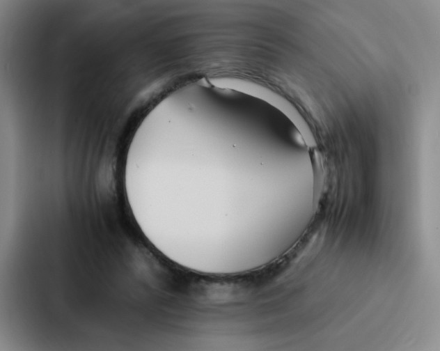 X0000086920400200705141726
