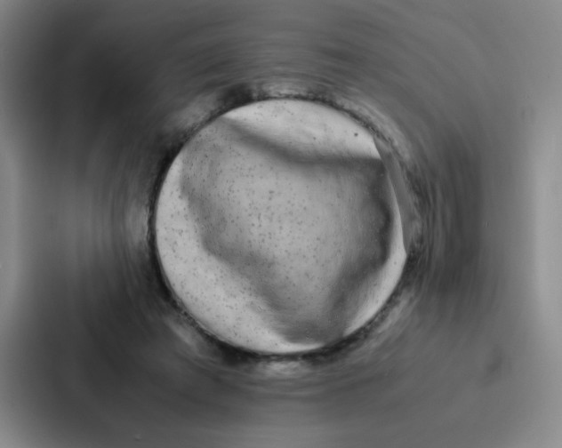 X0000086920401200705141726