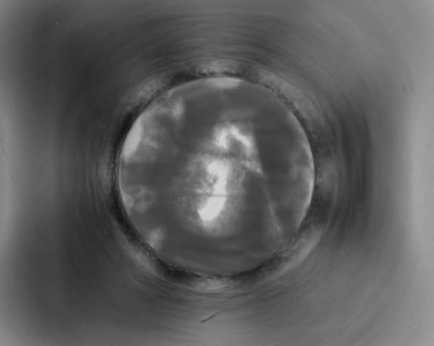 X0000086920402200705141726