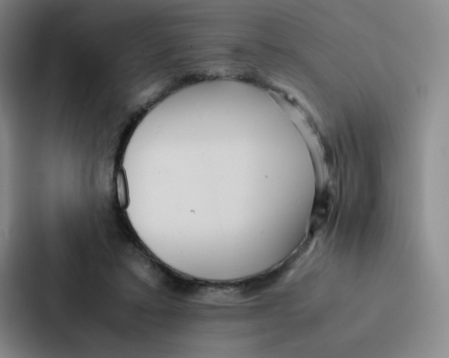 X0000086920403200705141726