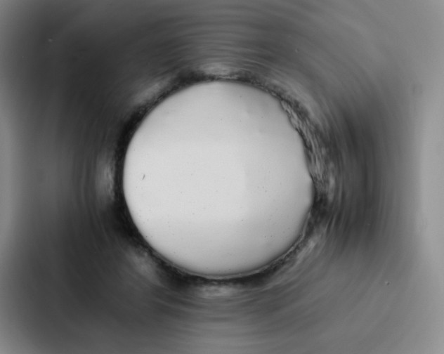 X0000086920404200705141726