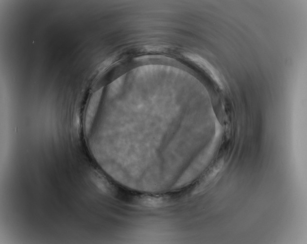 X0000086920405200705141726