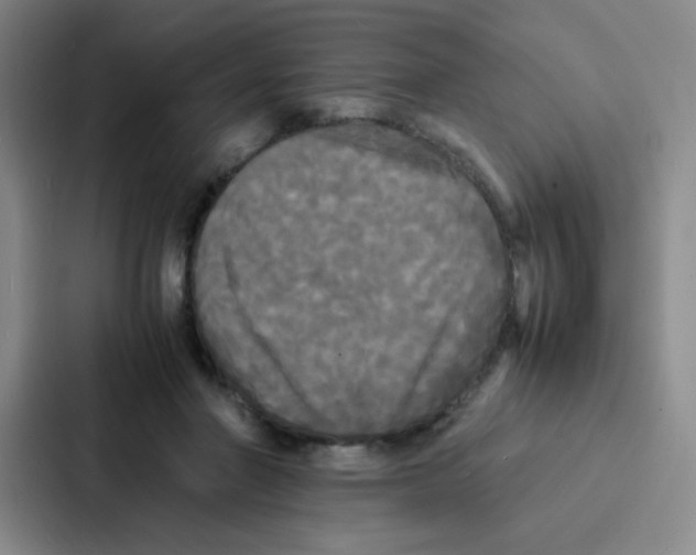 X0000086920406200705141726