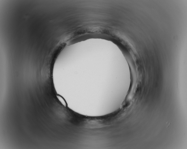 X0000086920407200705141726