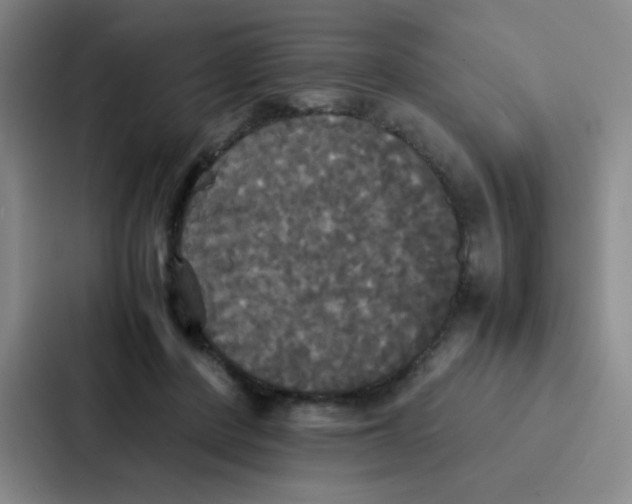 X0000086920408200705141726