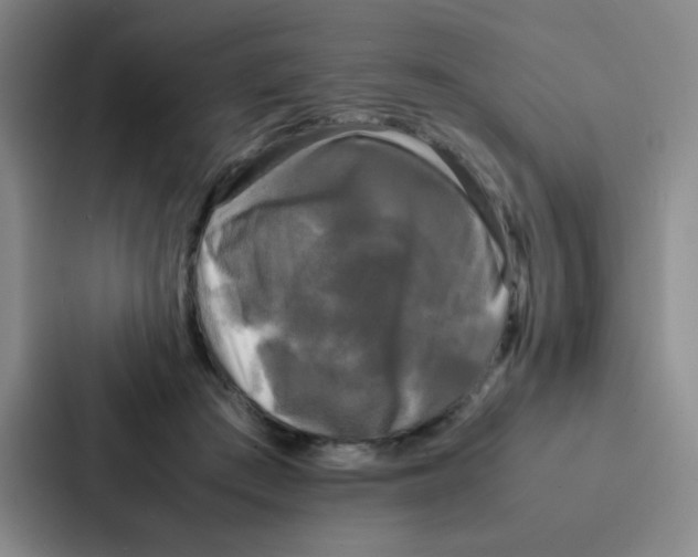 X0000086920409200705141726
