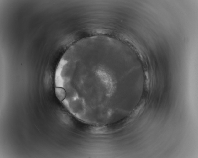 X0000086920410200705141726