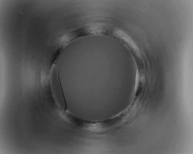 X0000086920411200705141726