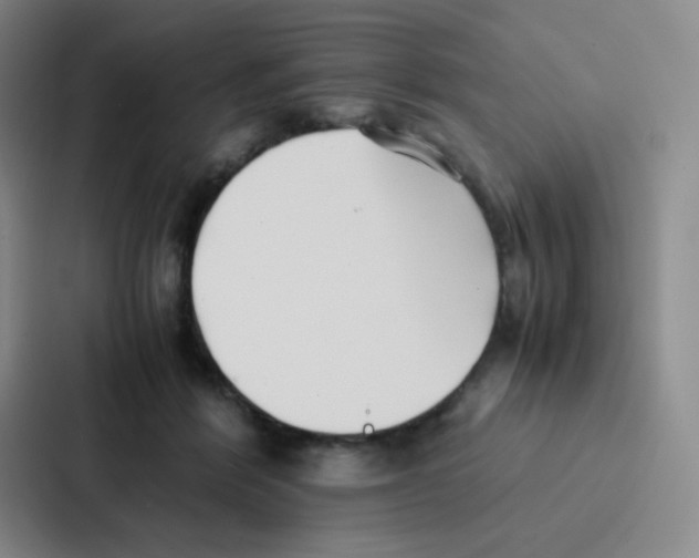 X0000086920412200705141726