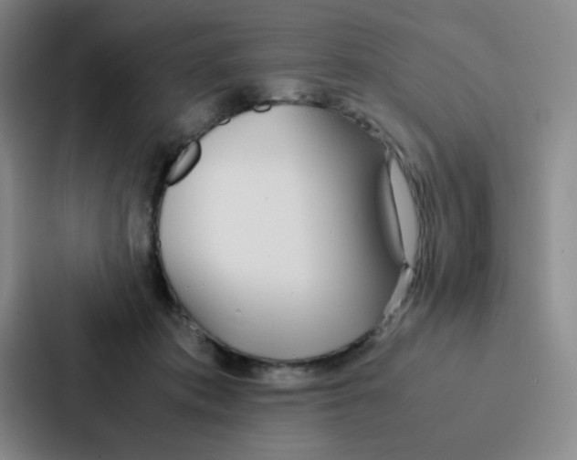 X0000086920413200705141726