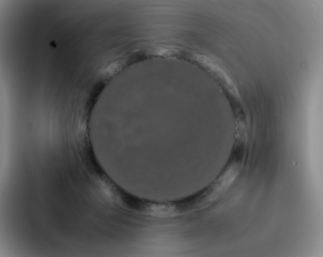X0000086920415200705141726