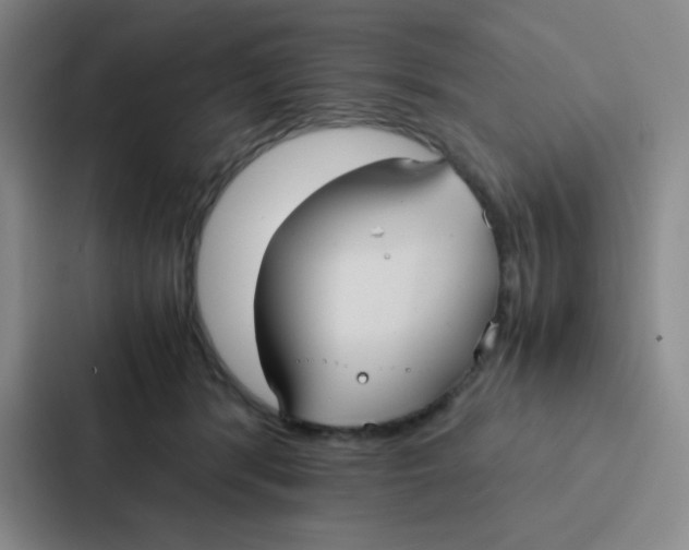X0000086920416200705141726