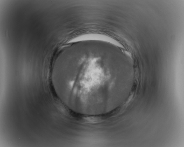 X0000086920417200705141726