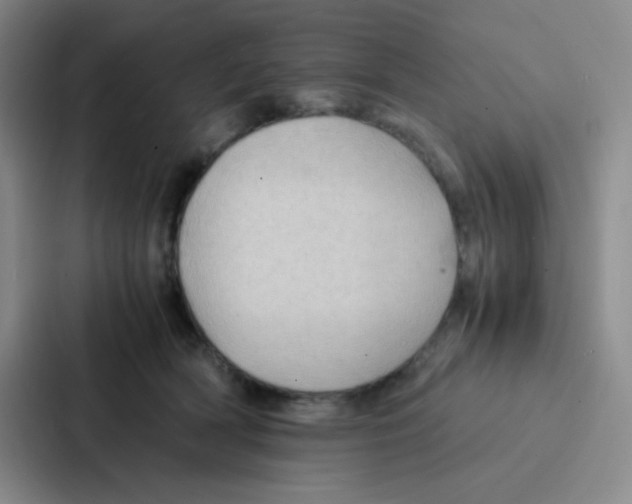 X0000086920418200705141726