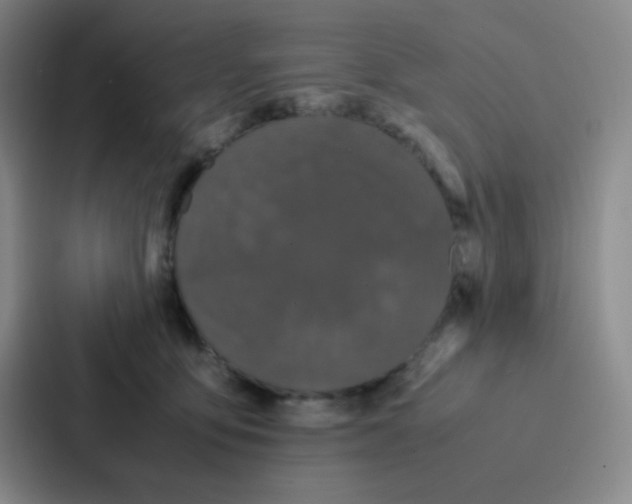 X0000086920419200705141726