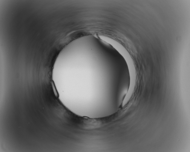 X0000086920421200705141726