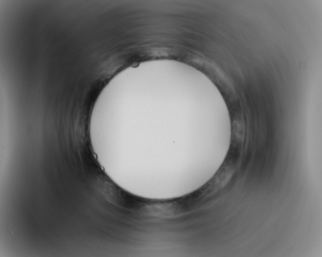 X0000086920422200705141726