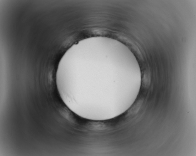 X0000086920424200705141726