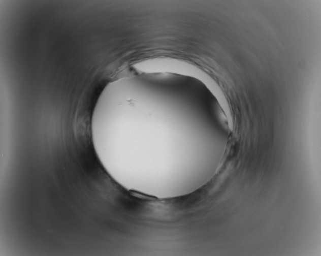 X0000086920425200705141726
