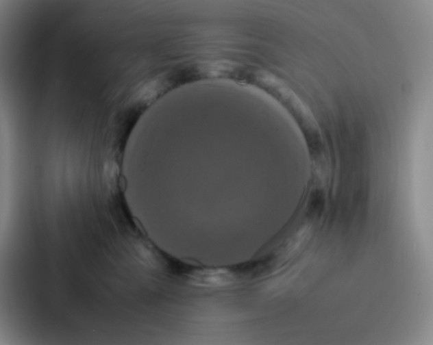 X0000086920427200705141726